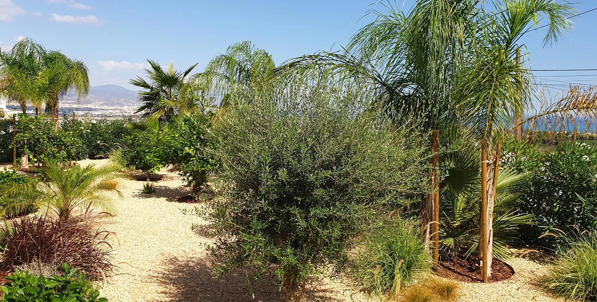 Happyplace Malaga -- Villa With Panoramic Sea View Heated Infinity Saltwater Pool